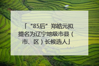 “85后”郑皓元拟提名为辽宁地级市县（市、区）长候选人