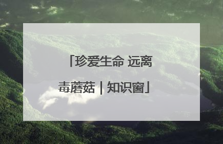 珍爱生命 远离毒蘑菇｜知识窗