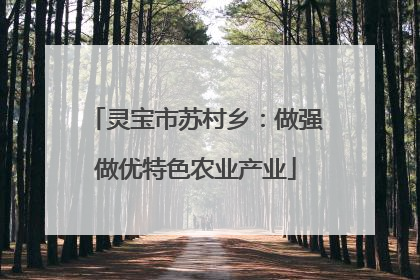 灵宝市苏村乡：做强做优特色农业产业