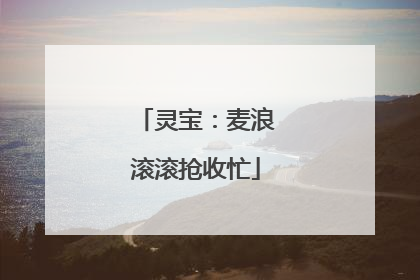 灵宝：麦浪滚滚抢收忙