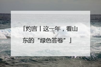 灼言丨这一年，看山东的“绿色答卷”