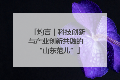 灼言｜科技创新与产业创新共融的“山东范儿”
