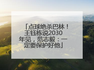 点球绝杀巴林！王钰栋说2030年见，范志毅：一定要保护好他