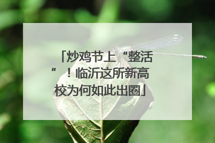 炒鸡节上“整活”！临沂这所新高校为何如此出圈