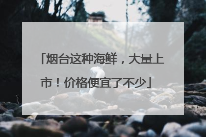 烟台这种海鲜，大量上市！价格便宜了不少