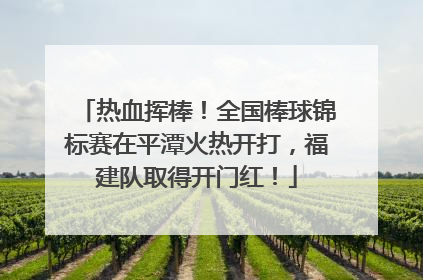 热血挥棒！全国棒球锦标赛在平潭火热开打，福建队取得开门红！