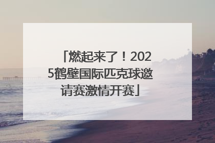 燃起来了！2025鹤壁国际匹克球邀请赛激情开赛