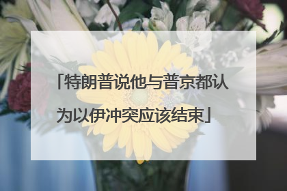 特朗普说他与普京都认为以伊冲突应该结束