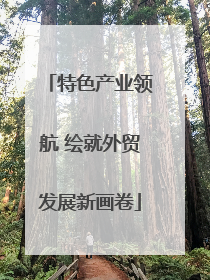 特色产业领航 绘就外贸发展新画卷