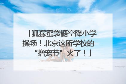 狐獴蜜袋鼯空降小学操场！北京这所学校的“撸宠节”火了！