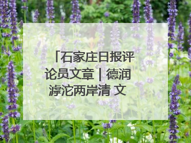 石家庄日报评论员文章｜德润滹沱两岸清 文明花开幸福城