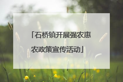 石桥镇开展强农惠农政策宣传活动