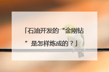 石油开发的“金刚钻”是怎样炼成的？