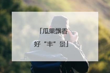 瓜果飘香 好“丰”景