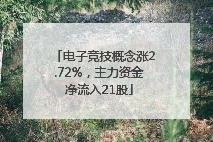 电子竞技概念涨2.72%，主力资金净流入21股