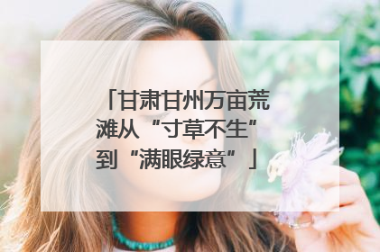 甘肃甘州万亩荒滩从“寸草不生”到“满眼绿意”