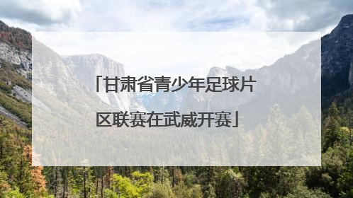 甘肃省青少年足球片区联赛在武威开赛