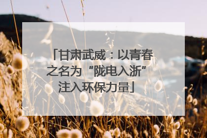 甘肃武威：以青春之名为“陇电入浙”注入环保力量