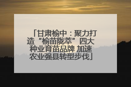 甘肃榆中：聚力打造“榆苗陇萃”四大种业育苗品牌 加速农业强县转型步伐