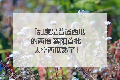 甜度是普通西瓜的两倍 襄阳首批太空西瓜熟了