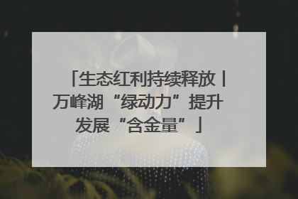 生态红利持续释放丨万峰湖“绿动力”提升发展“含金量”