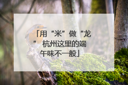 用“米”做“龙” 杭州这里的端午味不一般