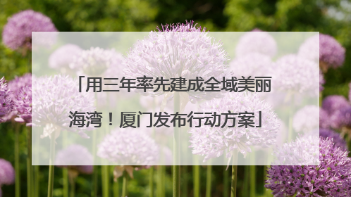 用三年率先建成全域美丽海湾！厦门发布行动方案
