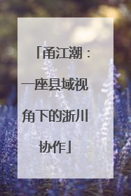 甬江潮：一座县域视角下的浙川协作