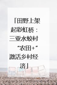 田野上架起彩虹桥：三亚水蛟村“农田+”激活乡村经济