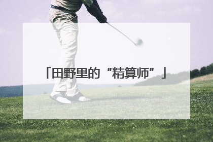 田野里的“精算师”