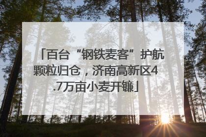 百台“钢铁麦客”护航颗粒归仓，济南高新区4.7万亩小麦开镰