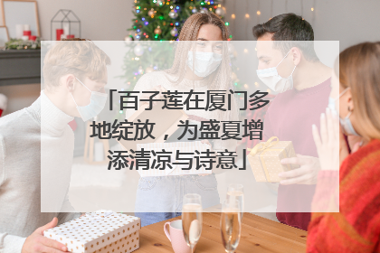 百子莲在厦门多地绽放，为盛夏增添清凉与诗意