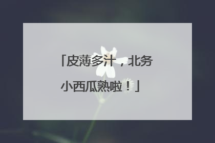 皮薄多汁，北务小西瓜熟啦！