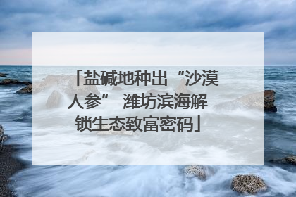 盐碱地种出“沙漠人参” 潍坊滨海解锁生态致富密码