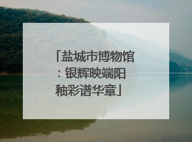 盐城市博物馆：银辉映端阳 釉彩谱华章