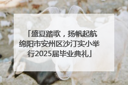 盛夏踏歌，扬帆起航 绵阳市安州区沙汀实小举行2025届毕业典礼