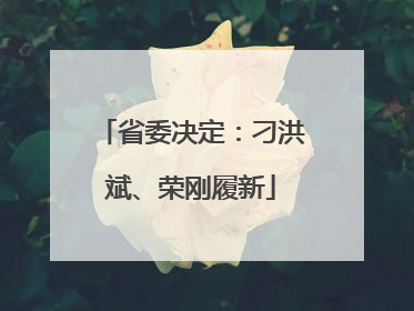 省委决定：刁洪斌、荣刚履新