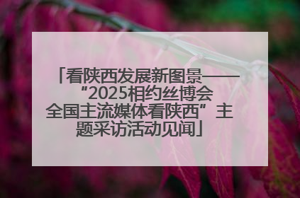 看陕西发展新图景——“2025相约丝博会 全国主流媒体看陕西”主题采访活动见闻