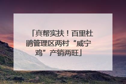 真帮实扶！百里杜鹃管理区两村“威宁鸡”产销两旺