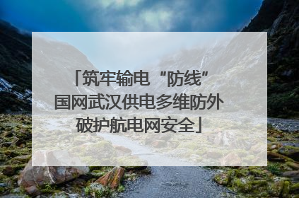 筑牢输电“防线” 国网武汉供电多维防外破护航电网安全