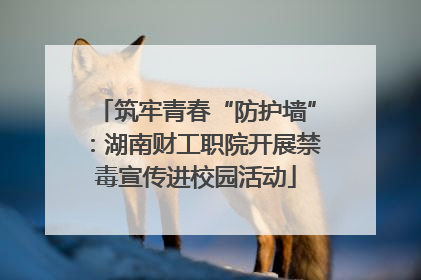 筑牢青春“防护墙”：湖南财工职院开展禁毒宣传进校园活动