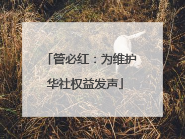 管必红：为维护华社权益发声