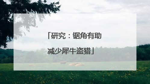研究：锯角有助减少犀牛盗猎