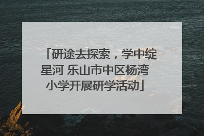 研途去探索，学中绽星河 乐山市中区杨湾小学开展研学活动
