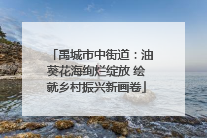 禹城市中街道：油葵花海绚烂绽放 绘就乡村振兴新画卷