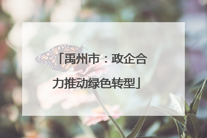 禹州市：政企合力推动绿色转型