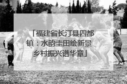 福建省长汀县四都镇：水韵圭田绘新景 乡村振兴谱华章
