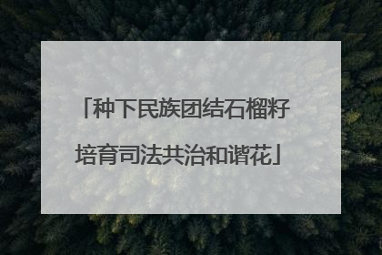 种下民族团结石榴籽 培育司法共治和谐花