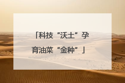 科技“沃土”孕育油菜“金种”