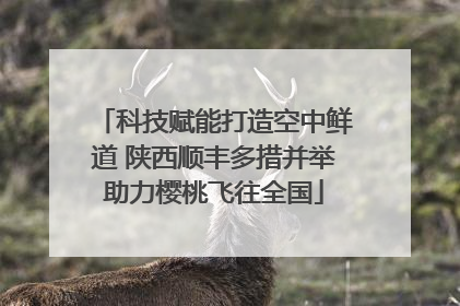 科技赋能打造空中鲜道 陕西顺丰多措并举助力樱桃飞往全国
